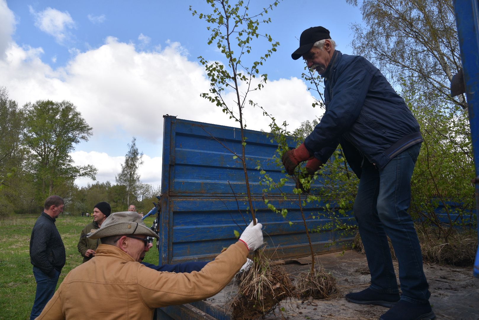 лотошино, дубки, сад памяти, посадка деревьев,