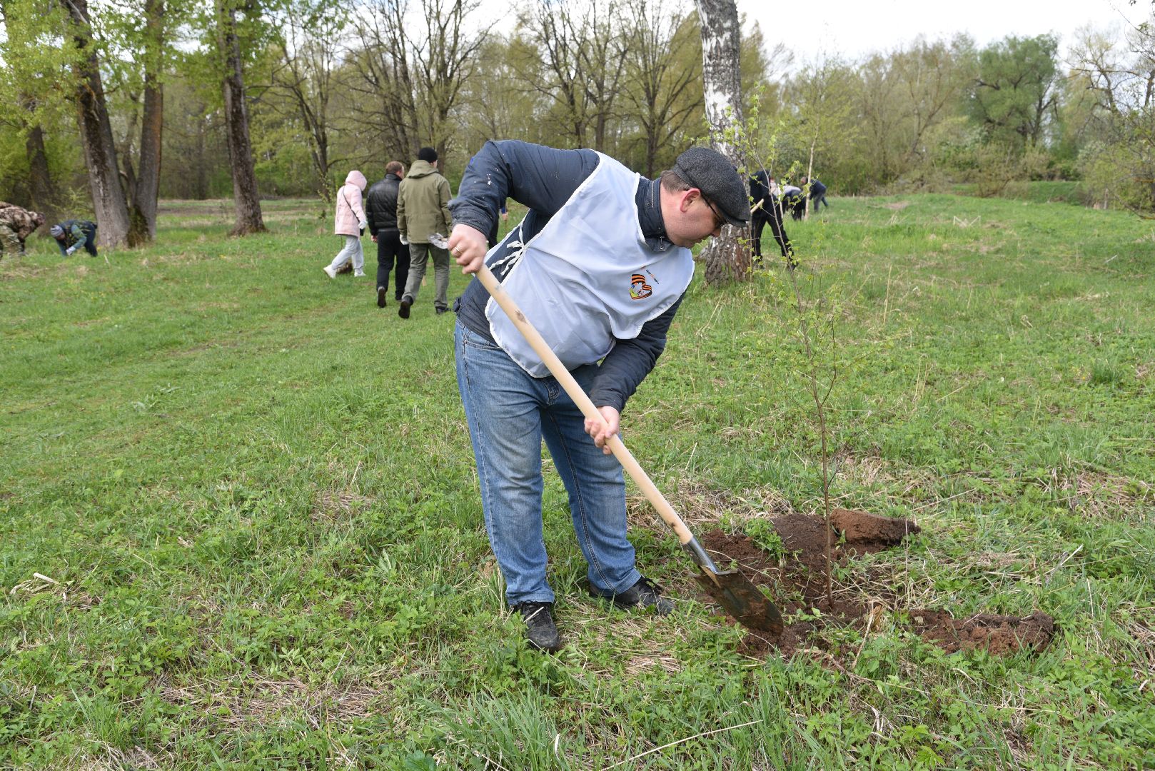 лотошино, дубки, сад памяти, посадка деревьев,