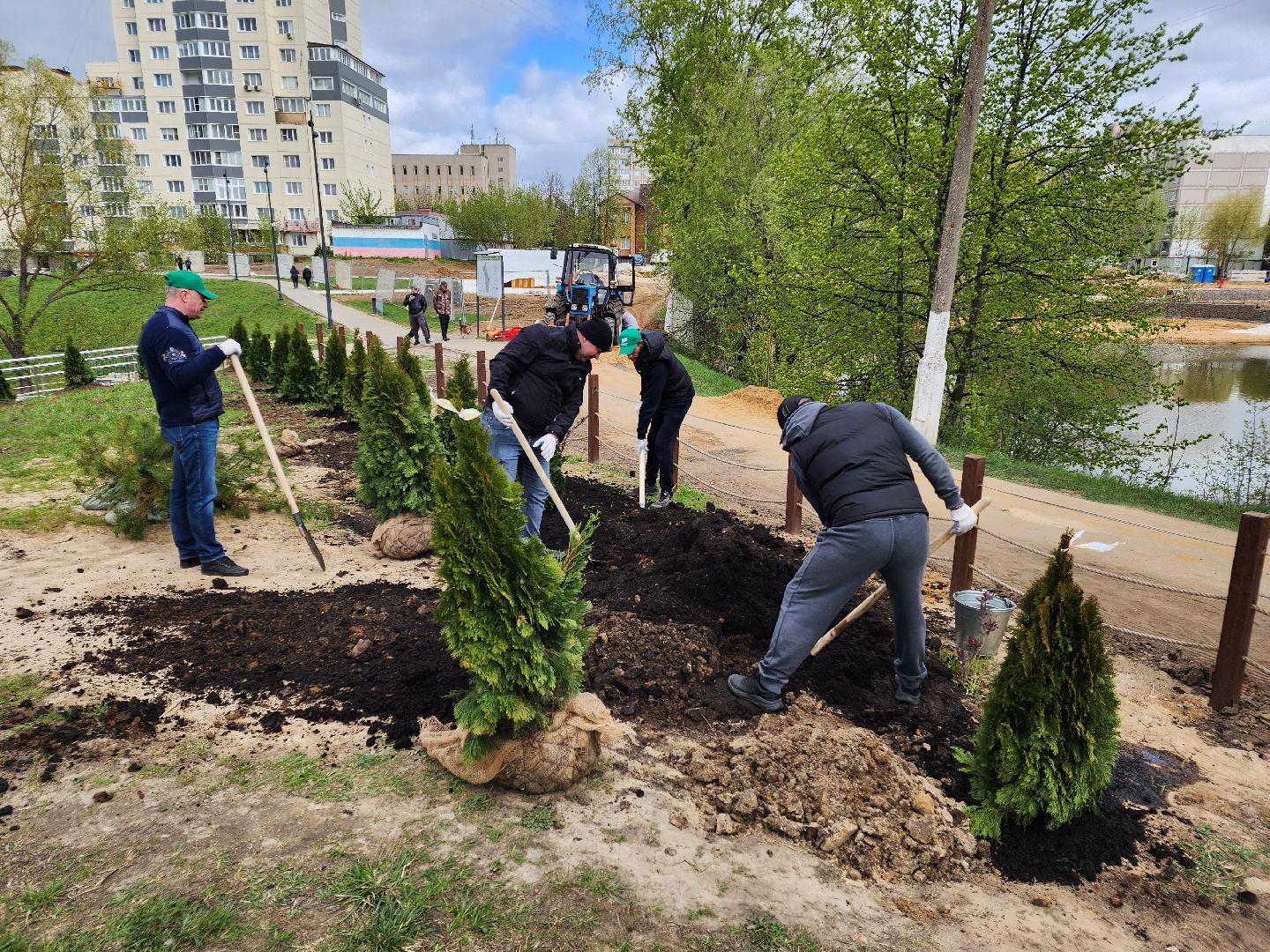 Чехов, набережная реки теребенка, Всероссийский субботник, уборка территорий, посадка деревьев, туи, ели, саженцы, благоустройство, уборка мусора, глава округа михаил собакин,