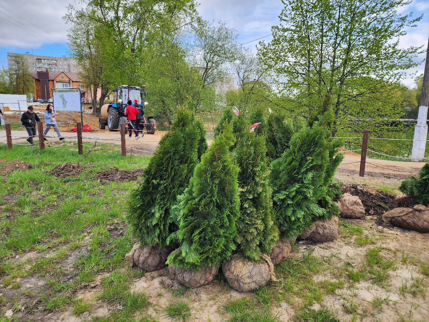 Чехов, набережная реки теребенка, Всероссийский субботник, уборка территорий, посадка деревьев, туи, ели, саженцы, благоустройство, уборка мусора, глава округа михаил собакин,