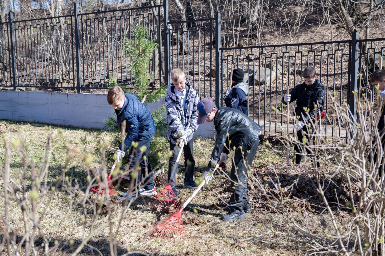 лыткарино, образование, субботник,
