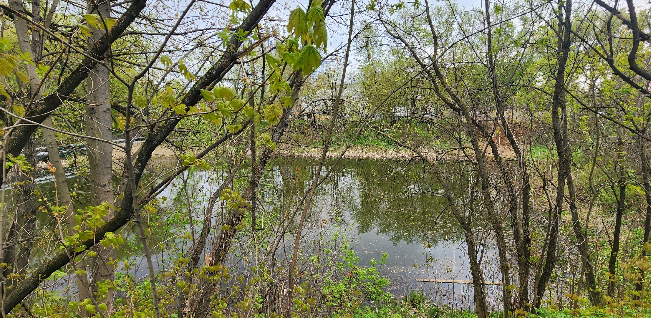 солнечногорск, екатерининский канал, субботник,