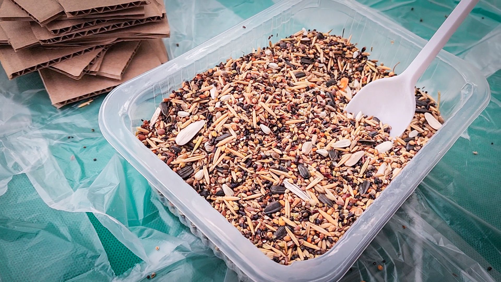 бронницы, мастер-класс , волонтерская рота, создание эко-кормушек ,