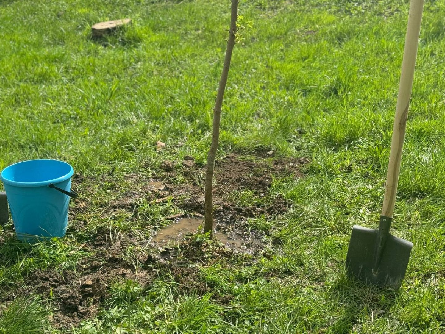 субботник, уборка, полевая кухня,