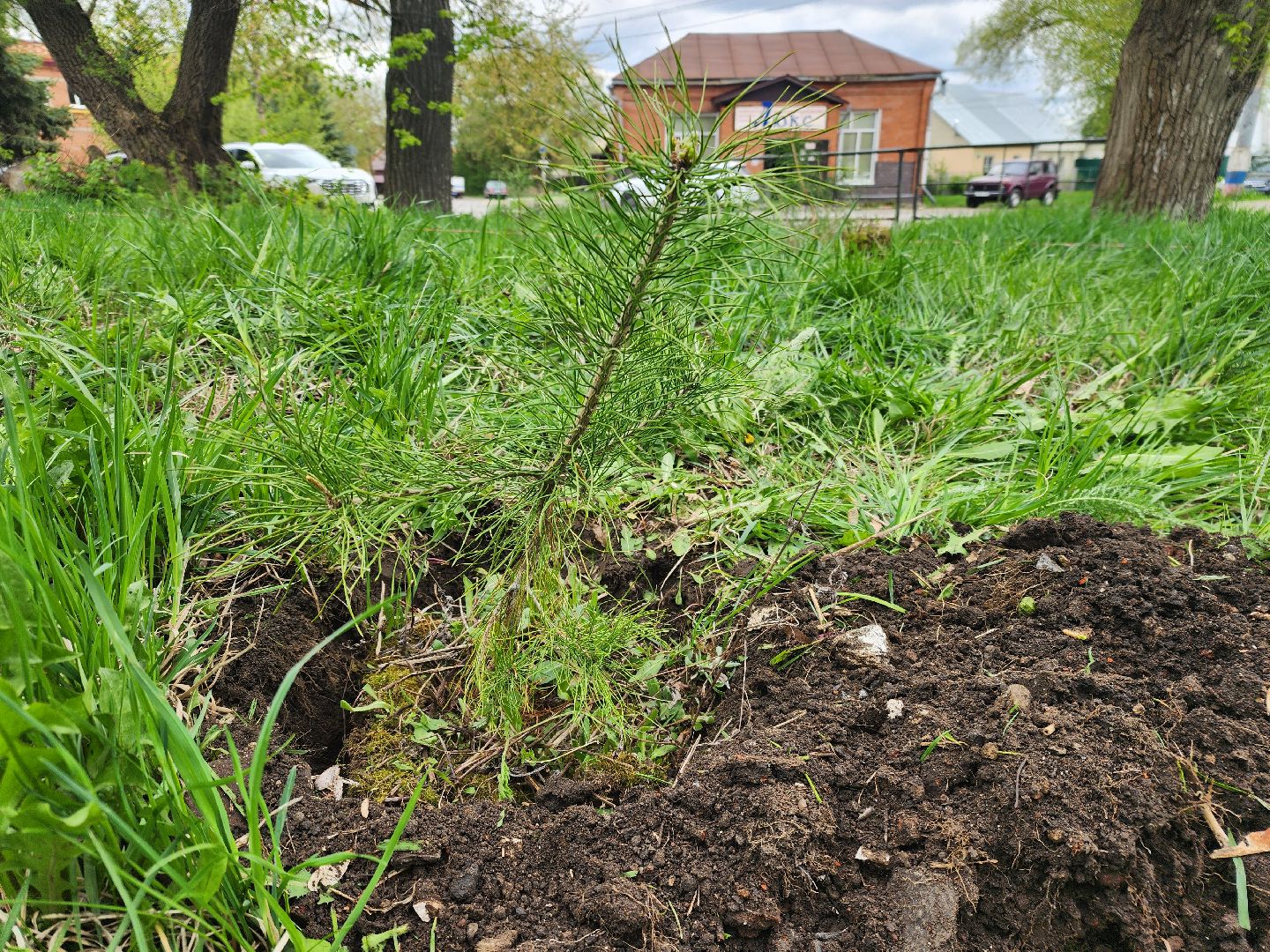 Зарайск, Всероссийский субботник, 26 апреля, весенняя уборка,Субботник в Зарайске,