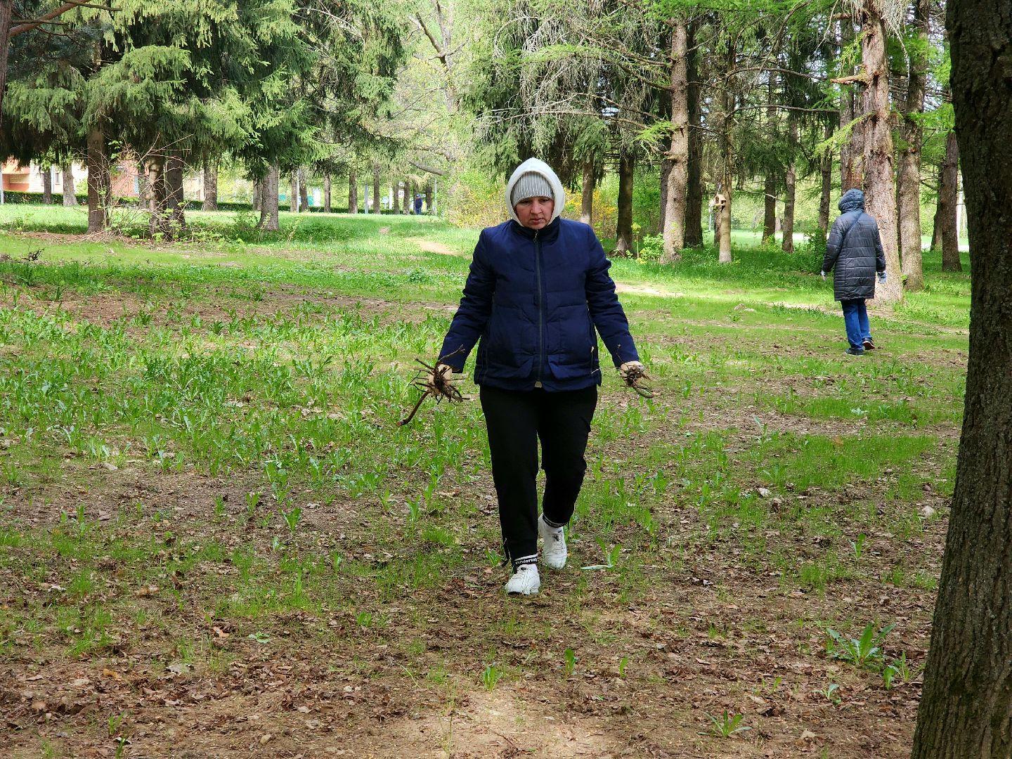 пущино, серпухов, всероссийский субботник,