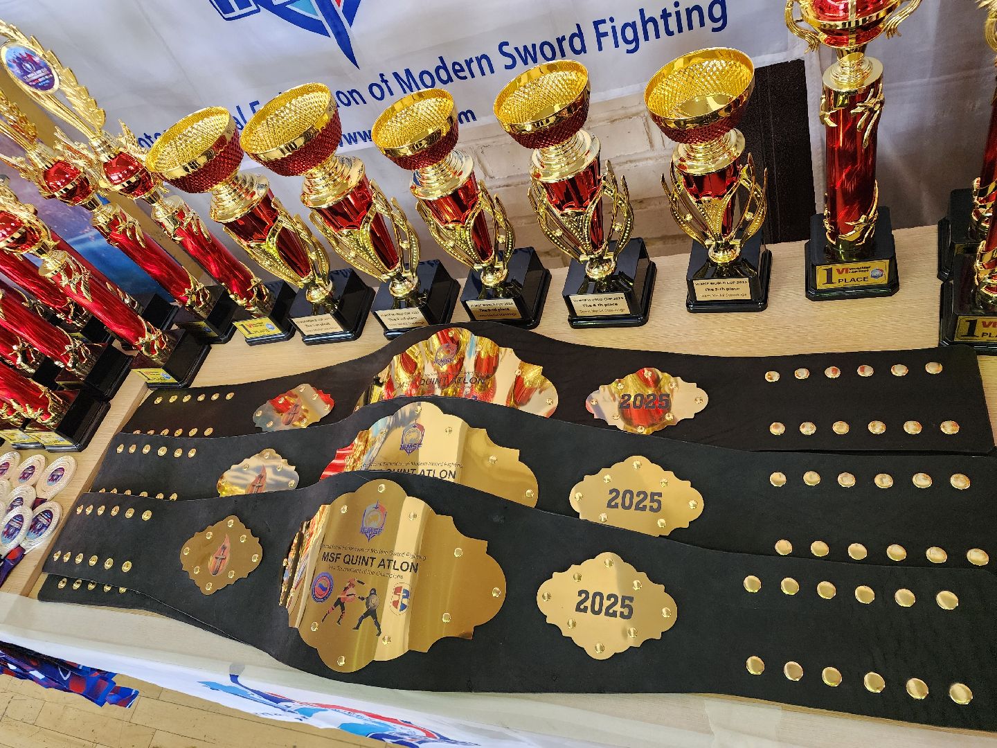 подольск, Мечевой бой, кубок мира,