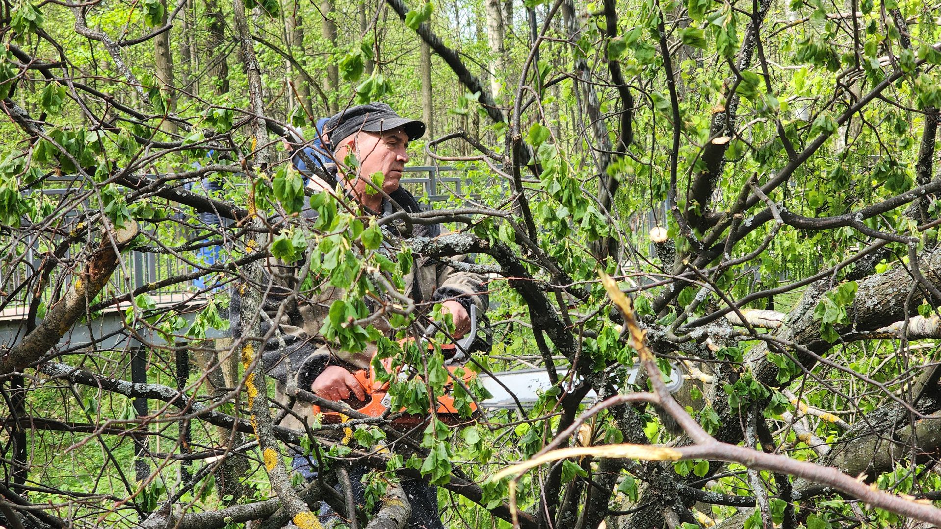 ступино, субботник, благоустройство,