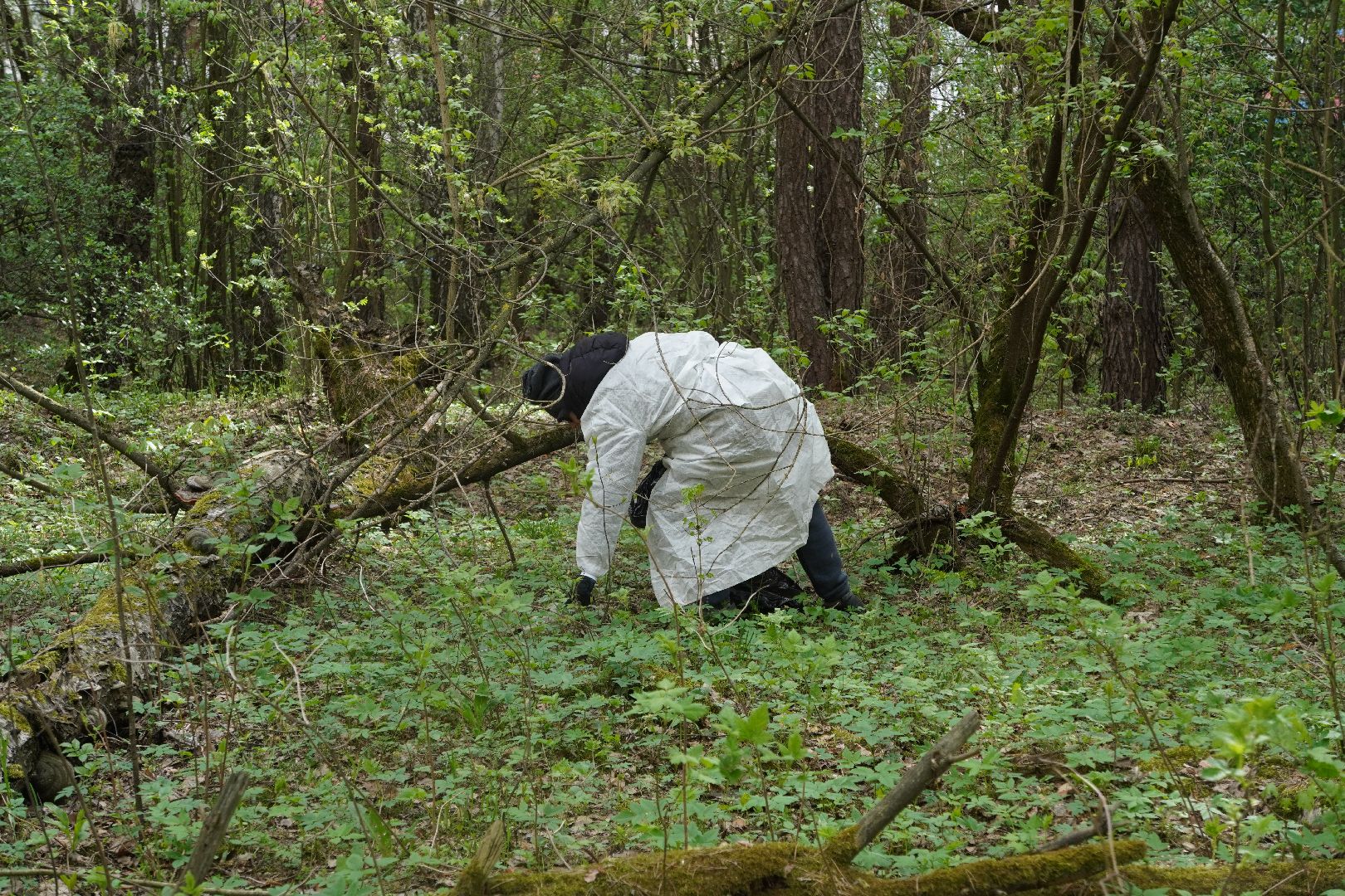 котельники, кузьминский лесопарк, всероссийский субботник,