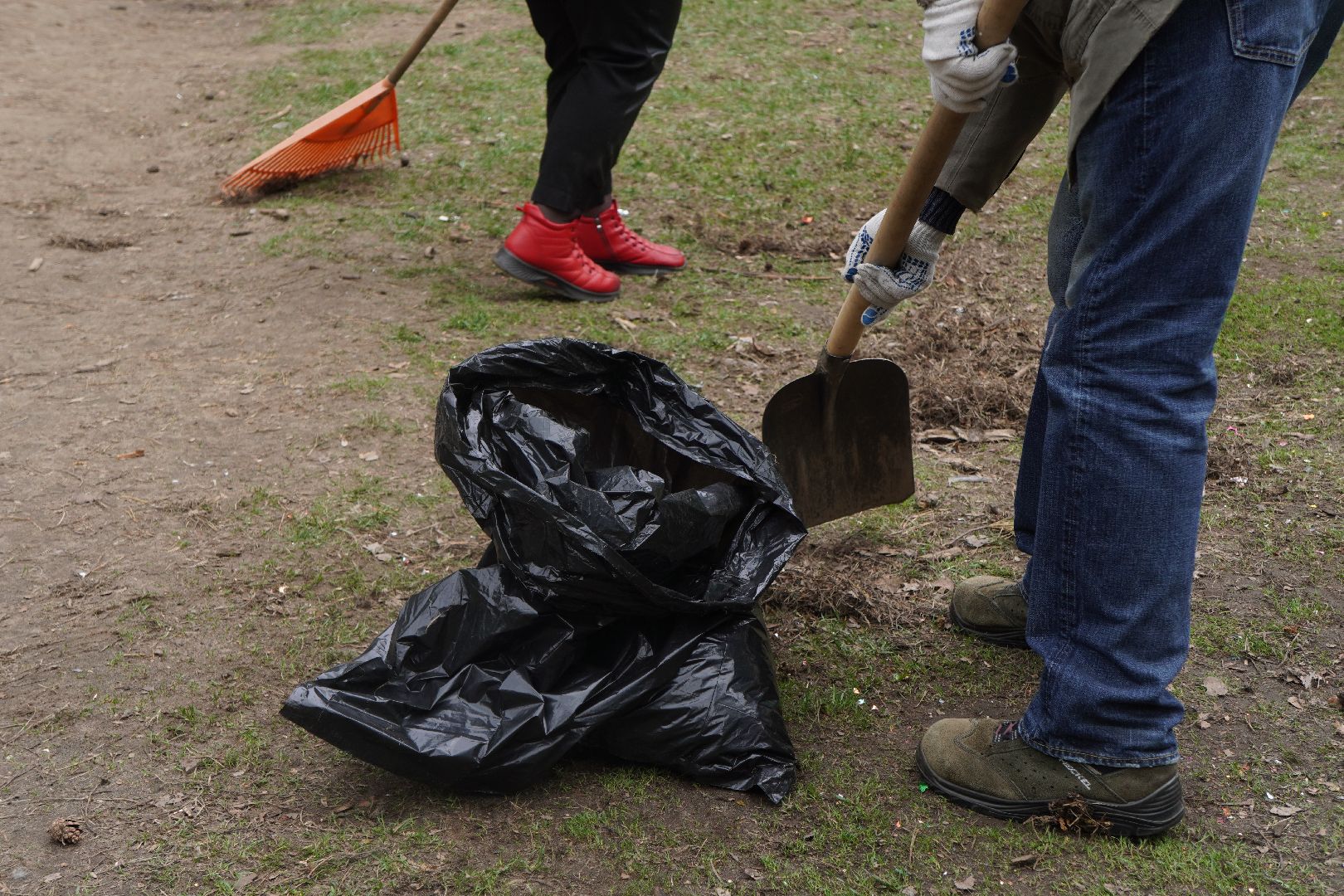 котельники, кузьминский лесопарк, всероссийский субботник,