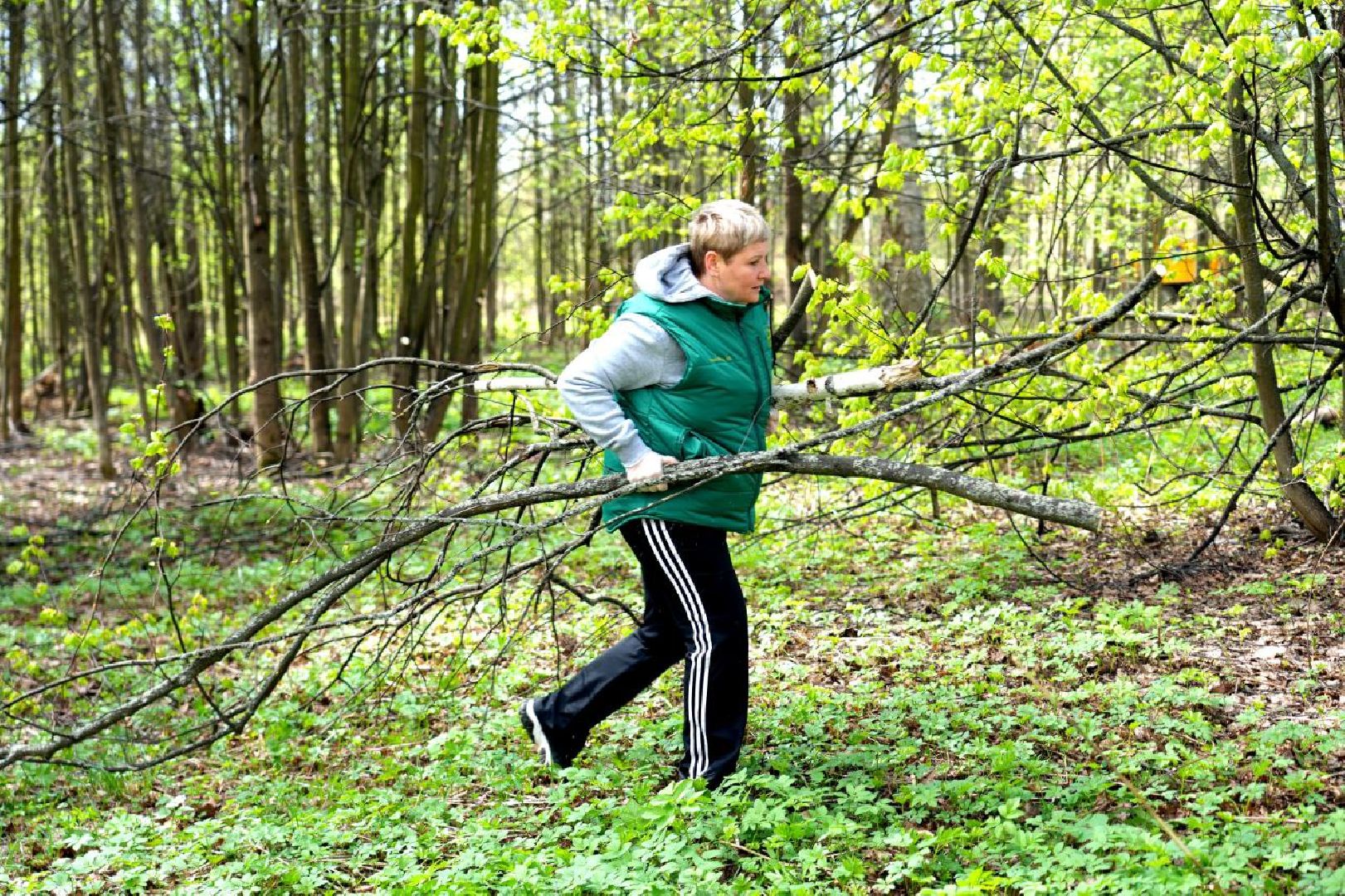 субботник, сергиев посад, сергиево-посадский городской округ, общеобластной субботник,  благоустройство,