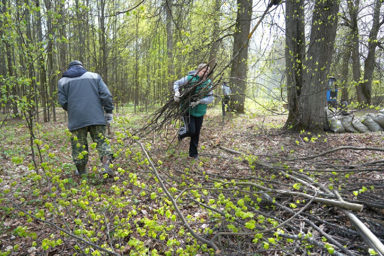 субботник, сергиев посад, сергиево-посадский городской округ, общеобластной субботник,  благоустройство,