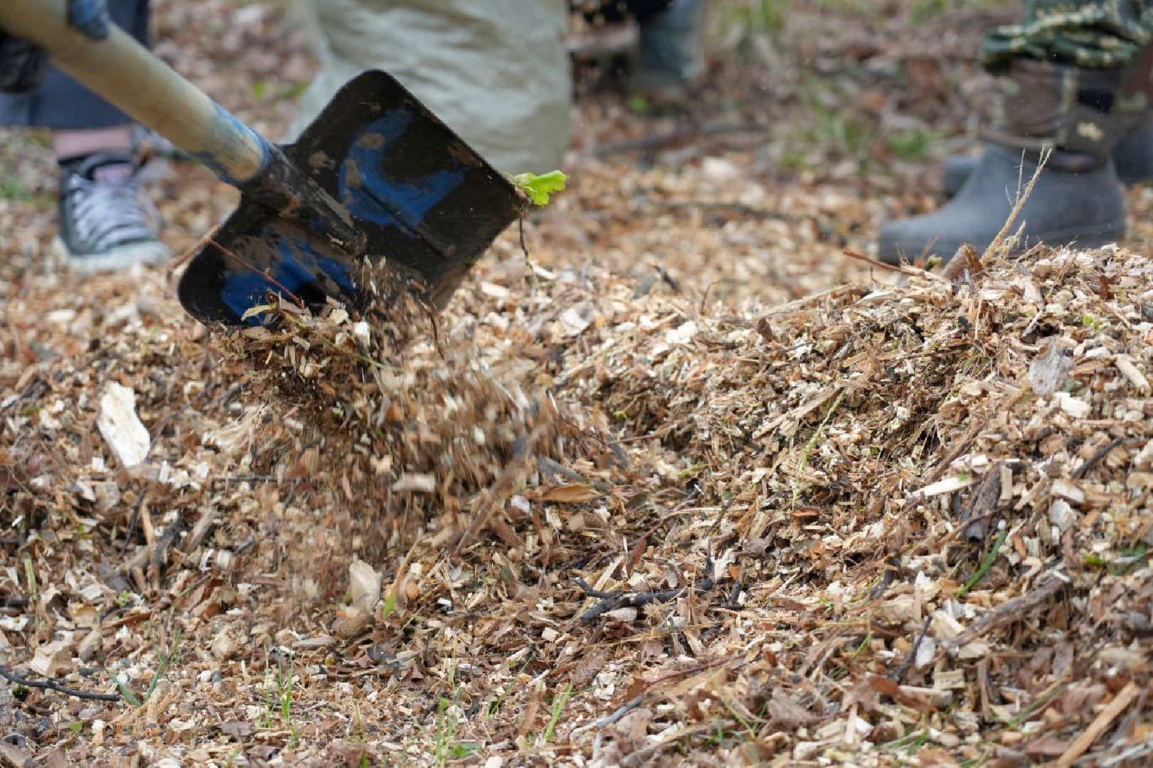 субботник, сергиев посад, сергиево-посадский городской округ, общеобластной субботник,  благоустройство,