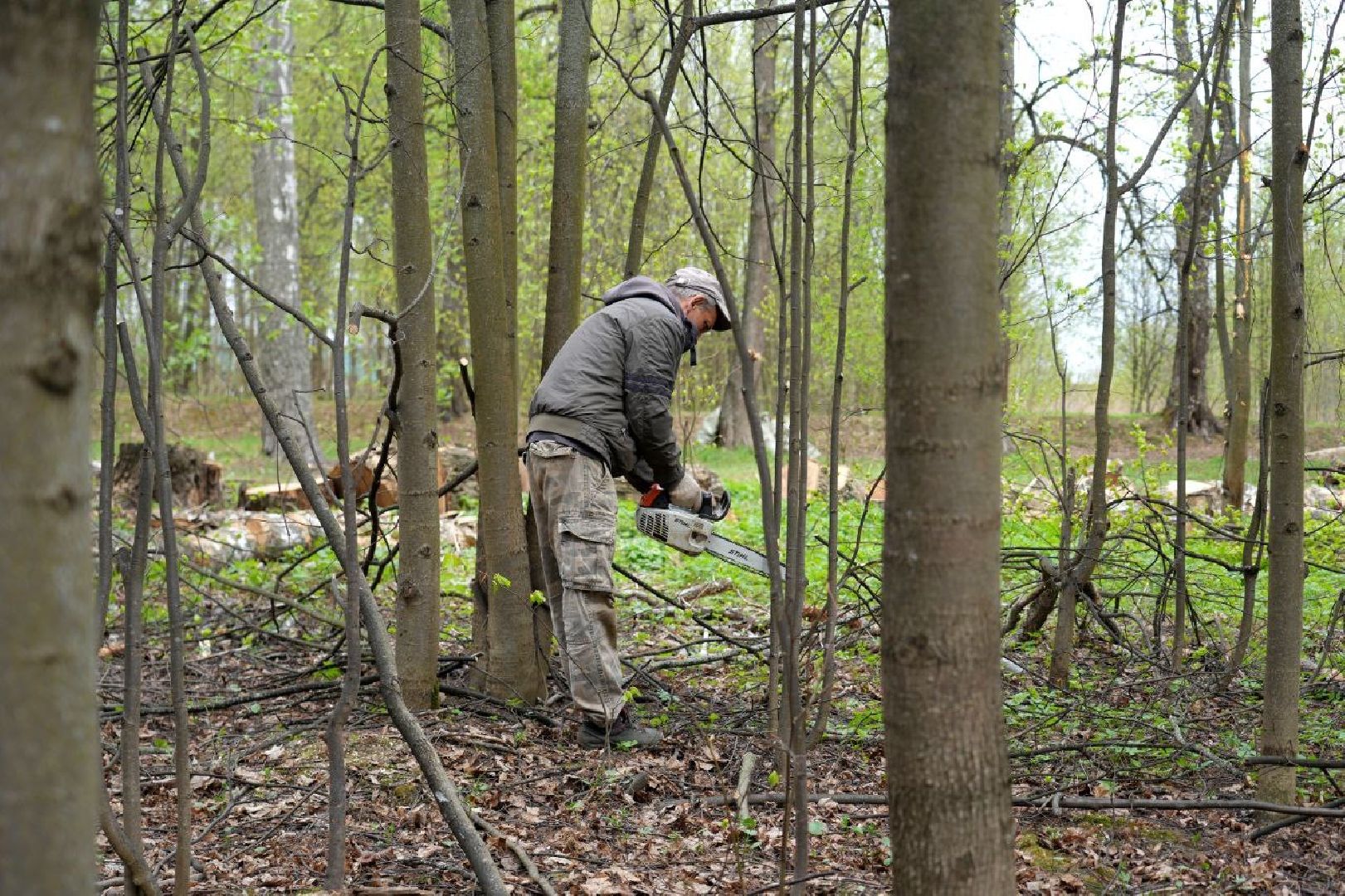 субботник, сергиев посад, сергиево-посадский городской округ, общеобластной субботник,  благоустройство,
