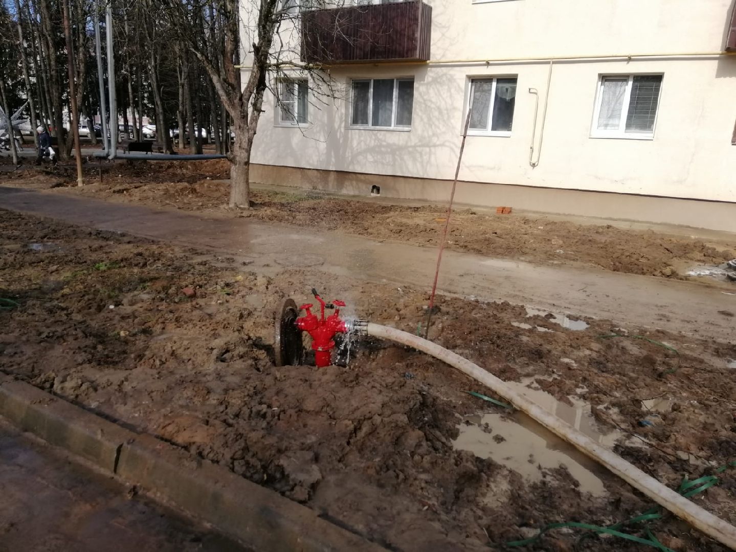 городской округ восход, жкх, благоустройство, дорога, субботник, всероссийский субботник,