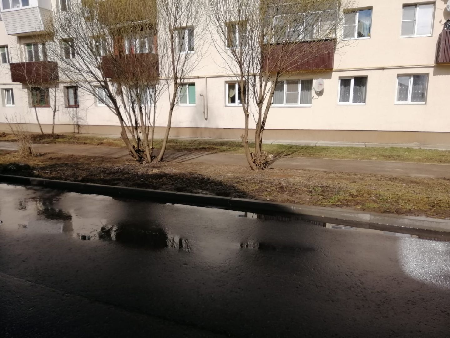 городской округ восход, жкх, благоустройство, дорога, субботник, всероссийский субботник,