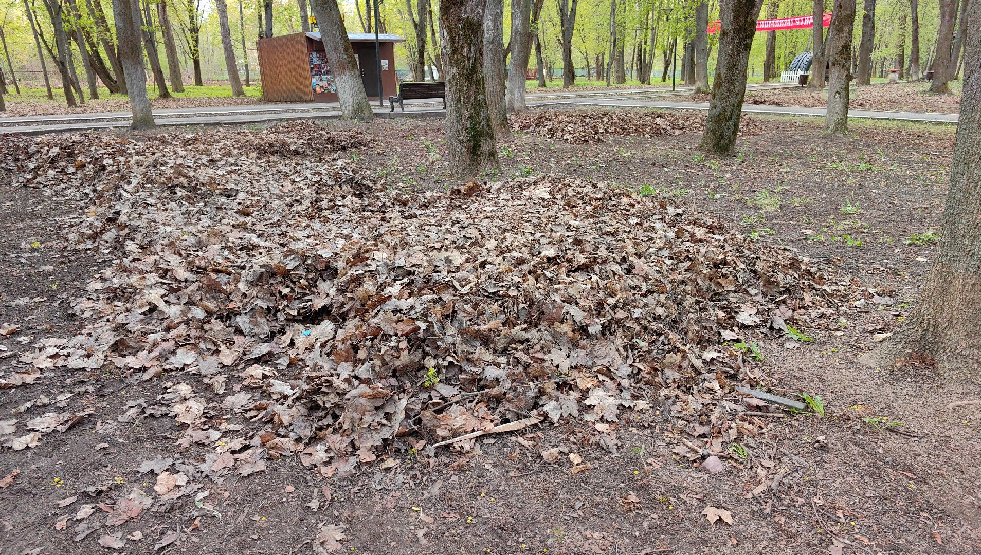 субботник, парк, мусор, листва,