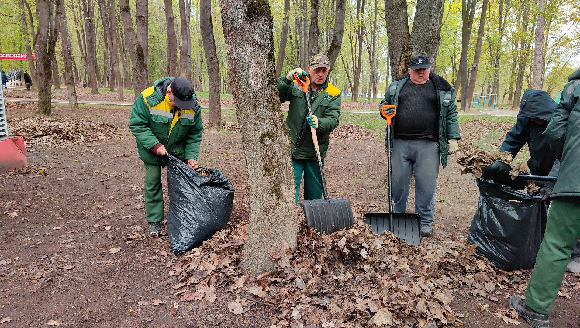 субботник, парк, мусор, листва,