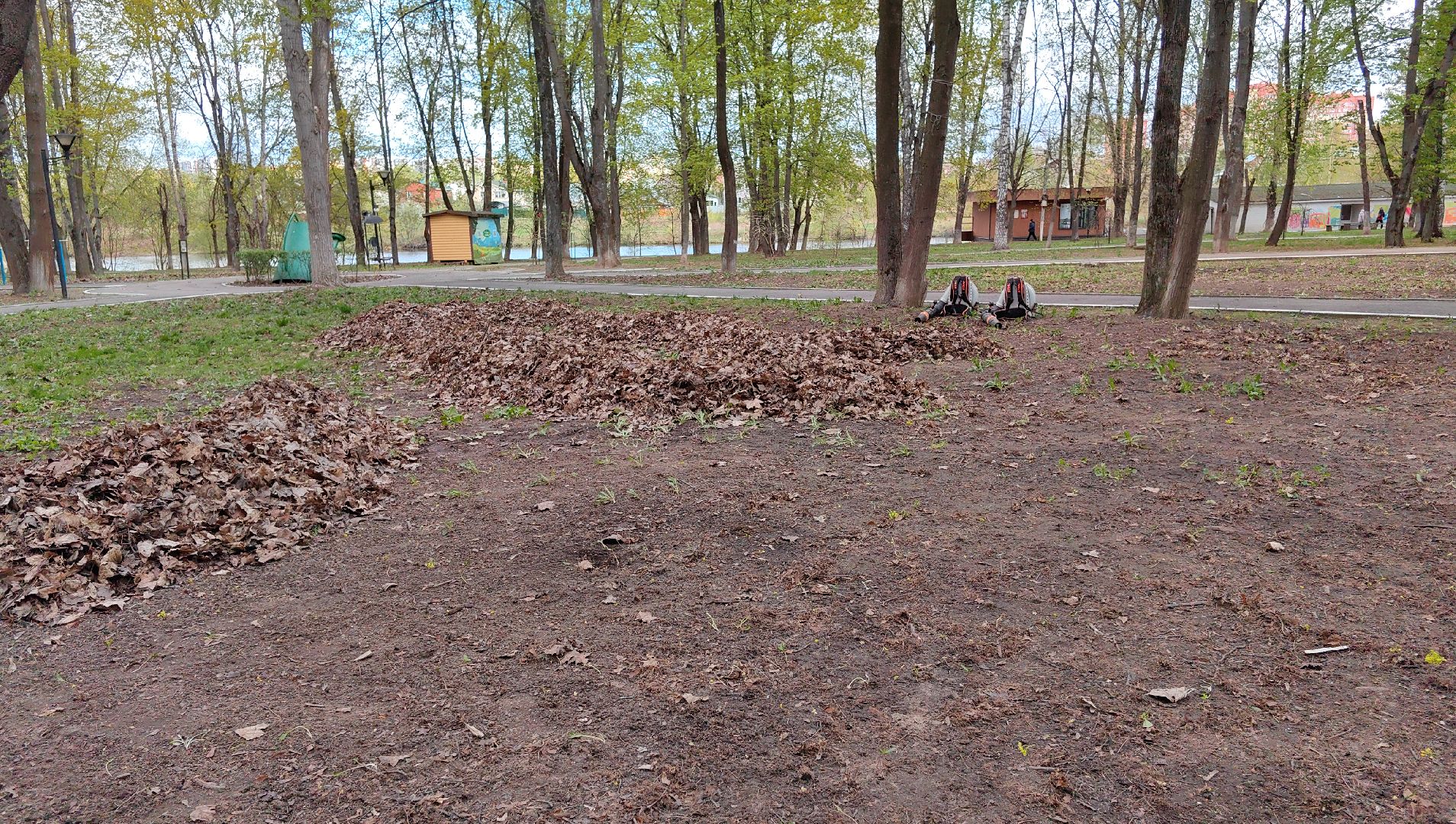 субботник, парк, мусор, листва,