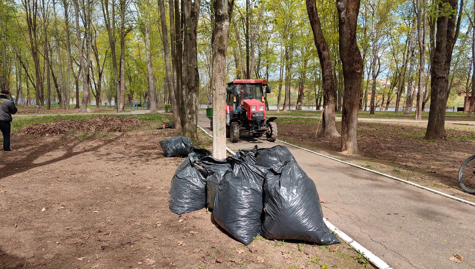 субботник, парк, мусор, листва,