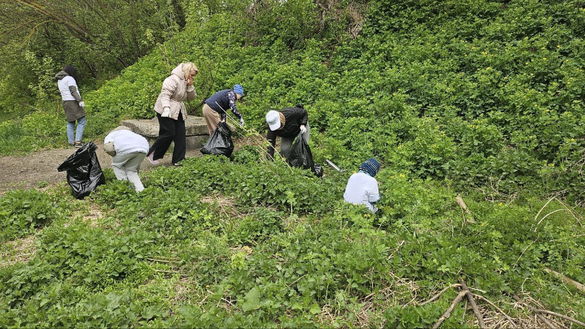 субботник, репинские пруды, коломна,