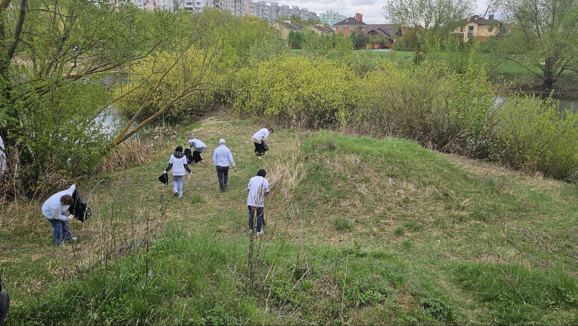 субботник, репинские пруды, коломна,