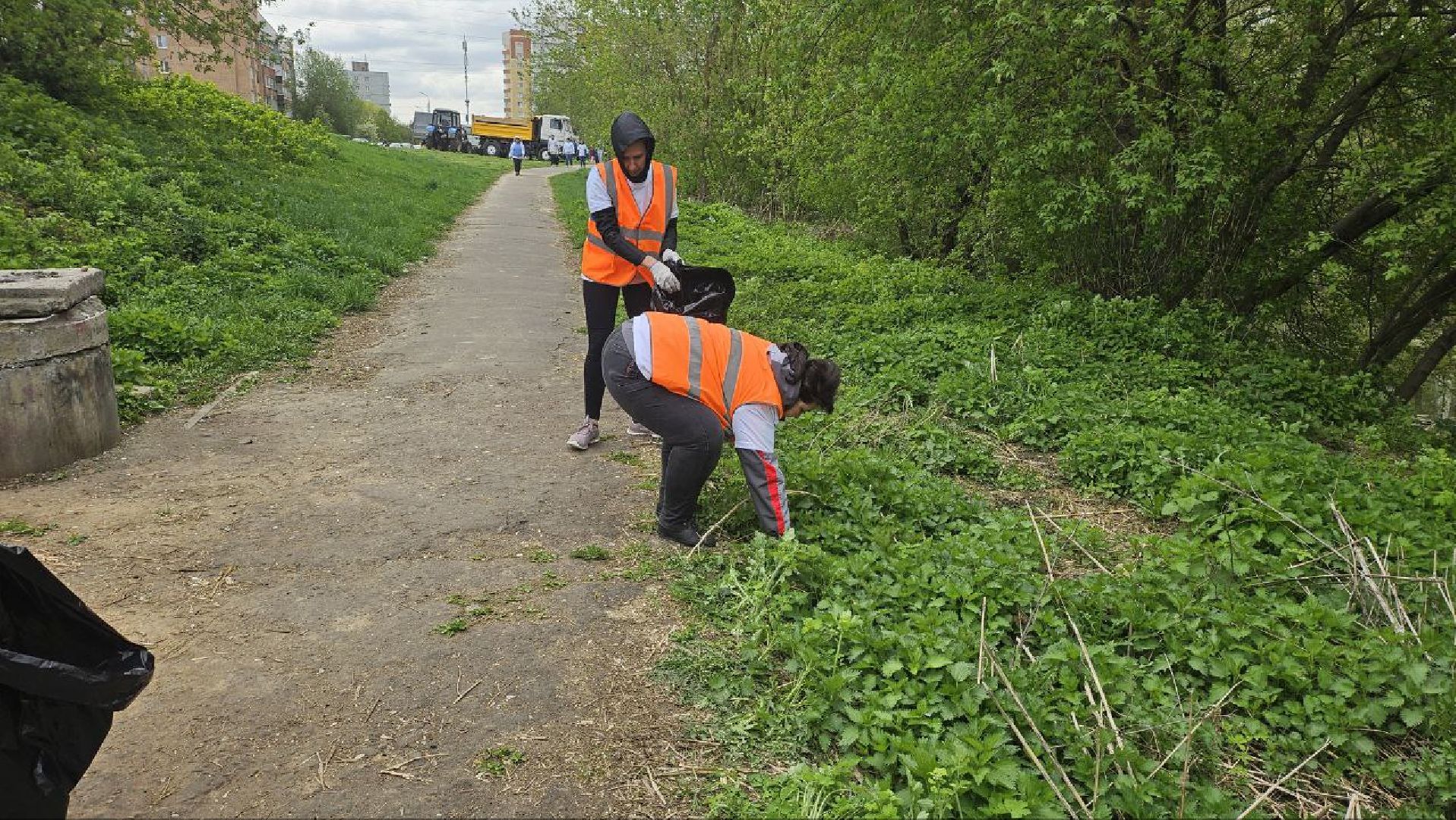 субботник, репинские пруды, коломна,