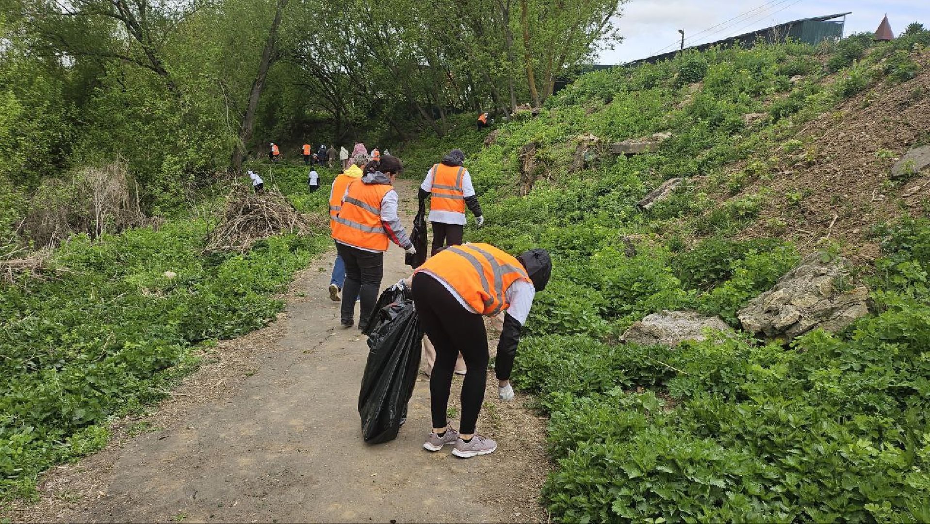 субботник, репинские пруды, коломна,