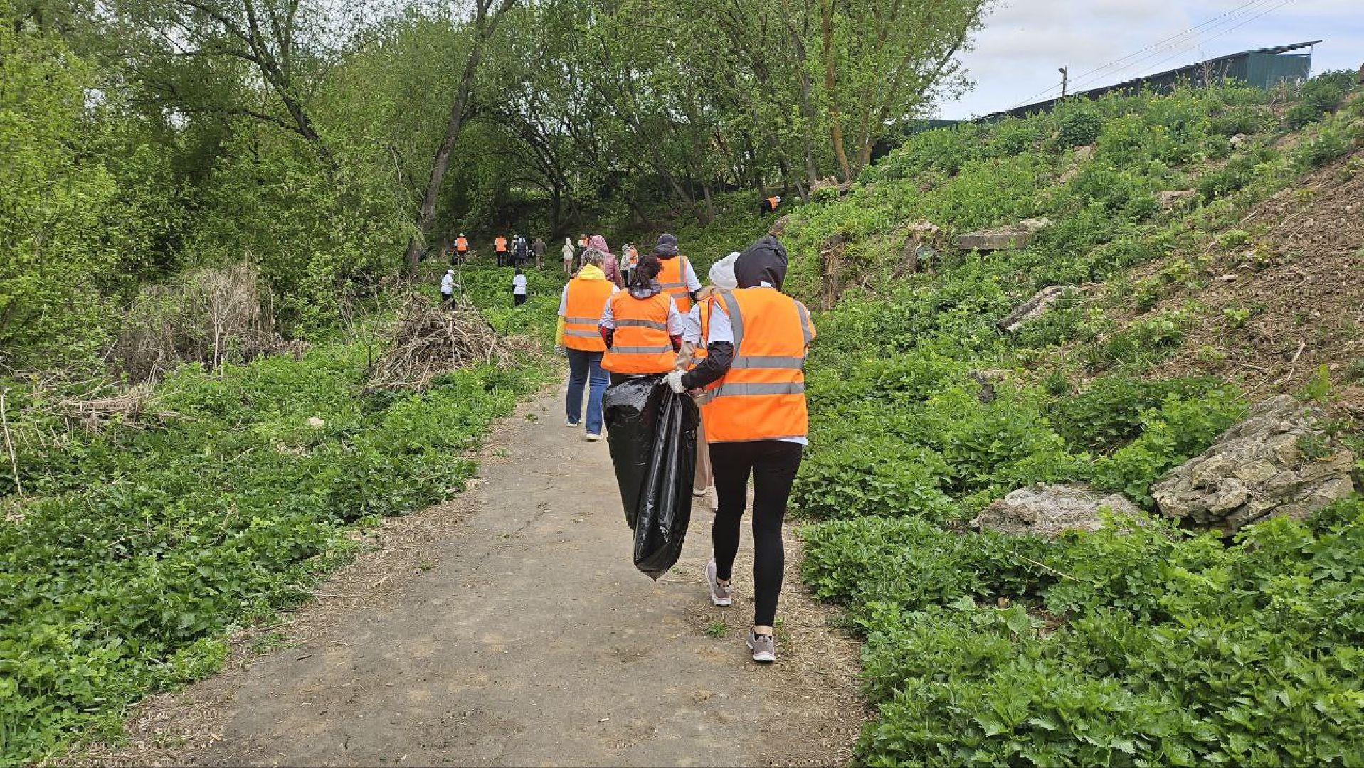 субботник, репинские пруды, коломна,