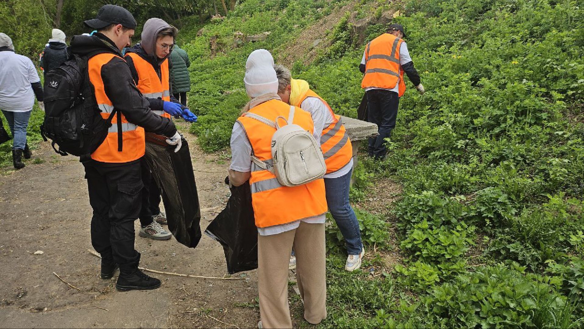 субботник, репинские пруды, коломна,