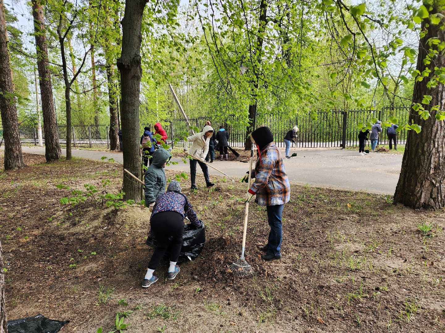 всероссийский субботник, шатурский округ, шатура, экологическая акция,