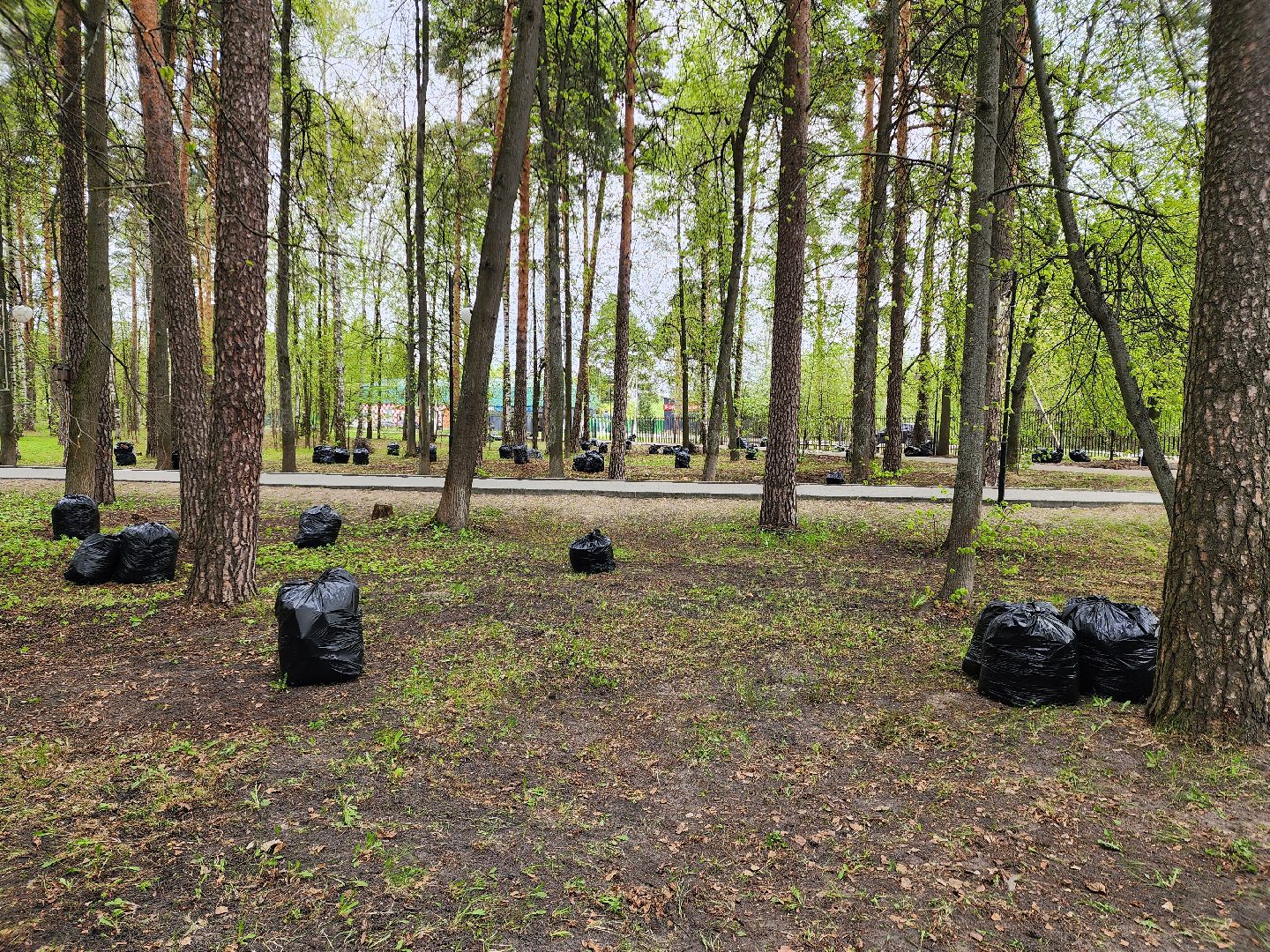 всероссийский субботник, шатурский округ, шатура, экологическая акция,