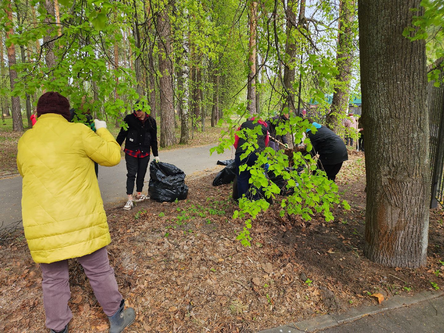 всероссийский субботник, шатурский округ, шатура, экологическая акция,