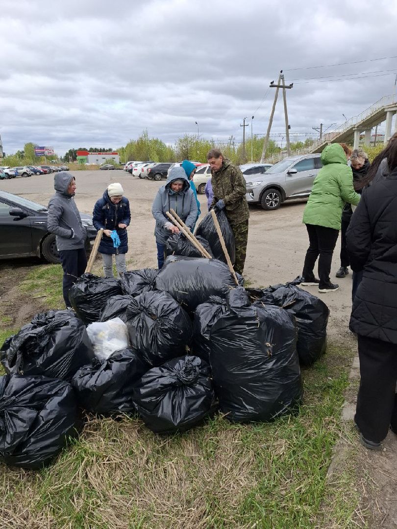всероссийский субботник, шатурский округ, шатура, экологическая акция,