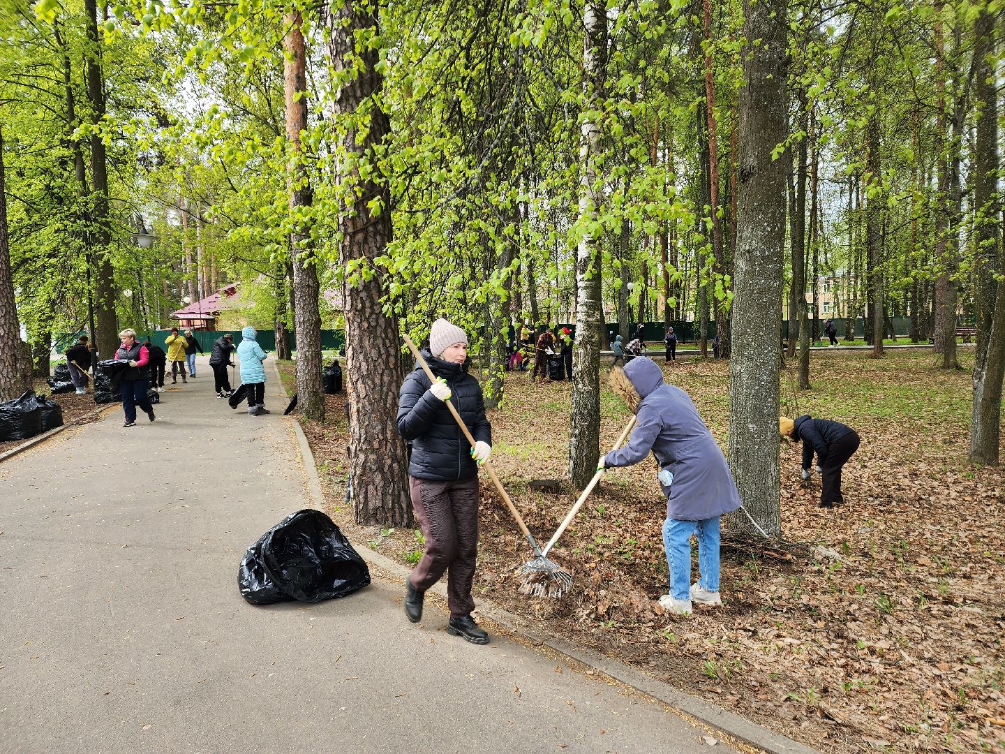 всероссийский субботник, шатурский округ, шатура, экологическая акция,