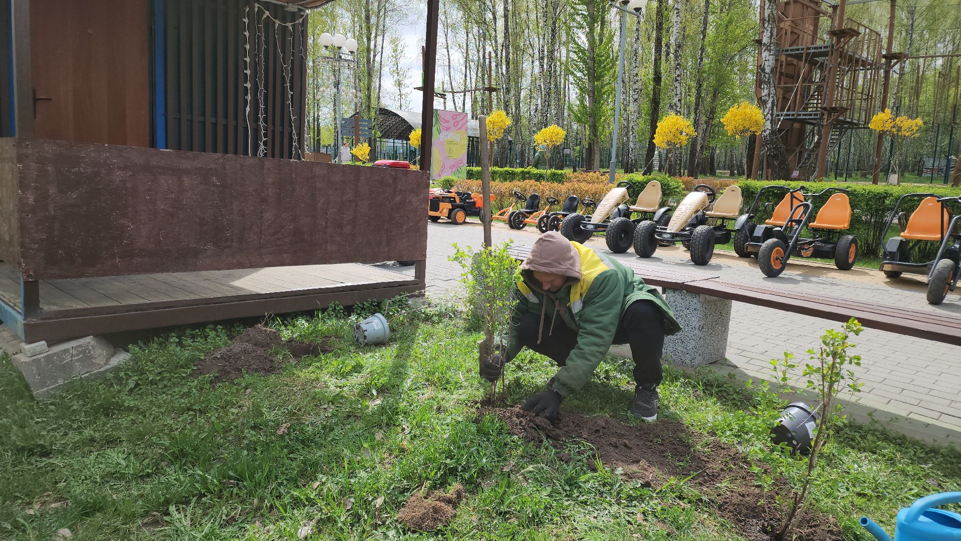 кашира, субботник, парк, благоустройство, посадка деревьев, кустарники,