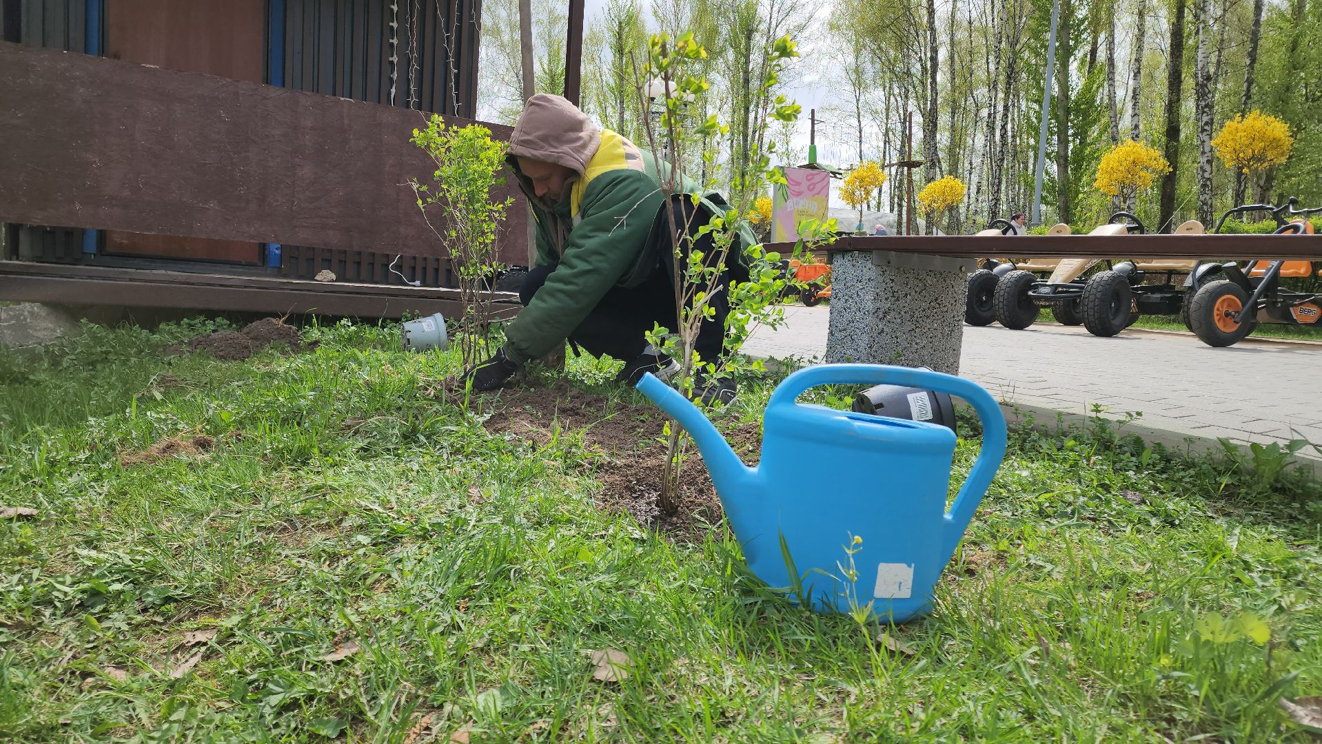 кашира, субботник, парк, благоустройство, посадка деревьев, кустарники,