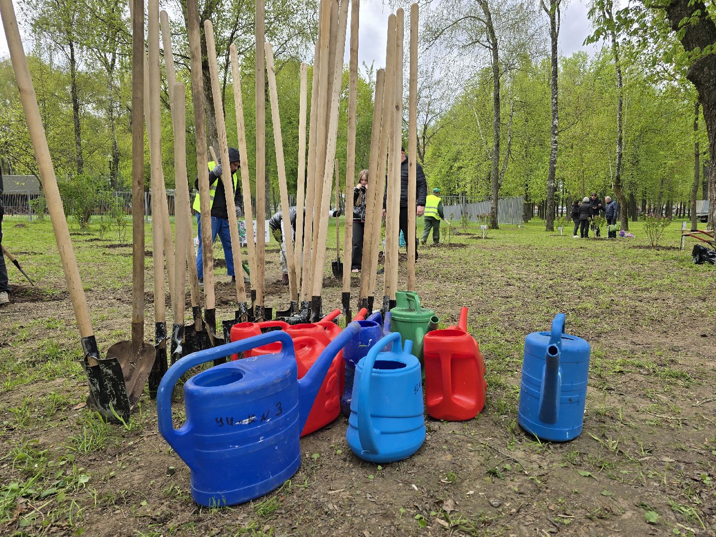 Коломна, парк мира в коломне, сад памяти, аллея славы,