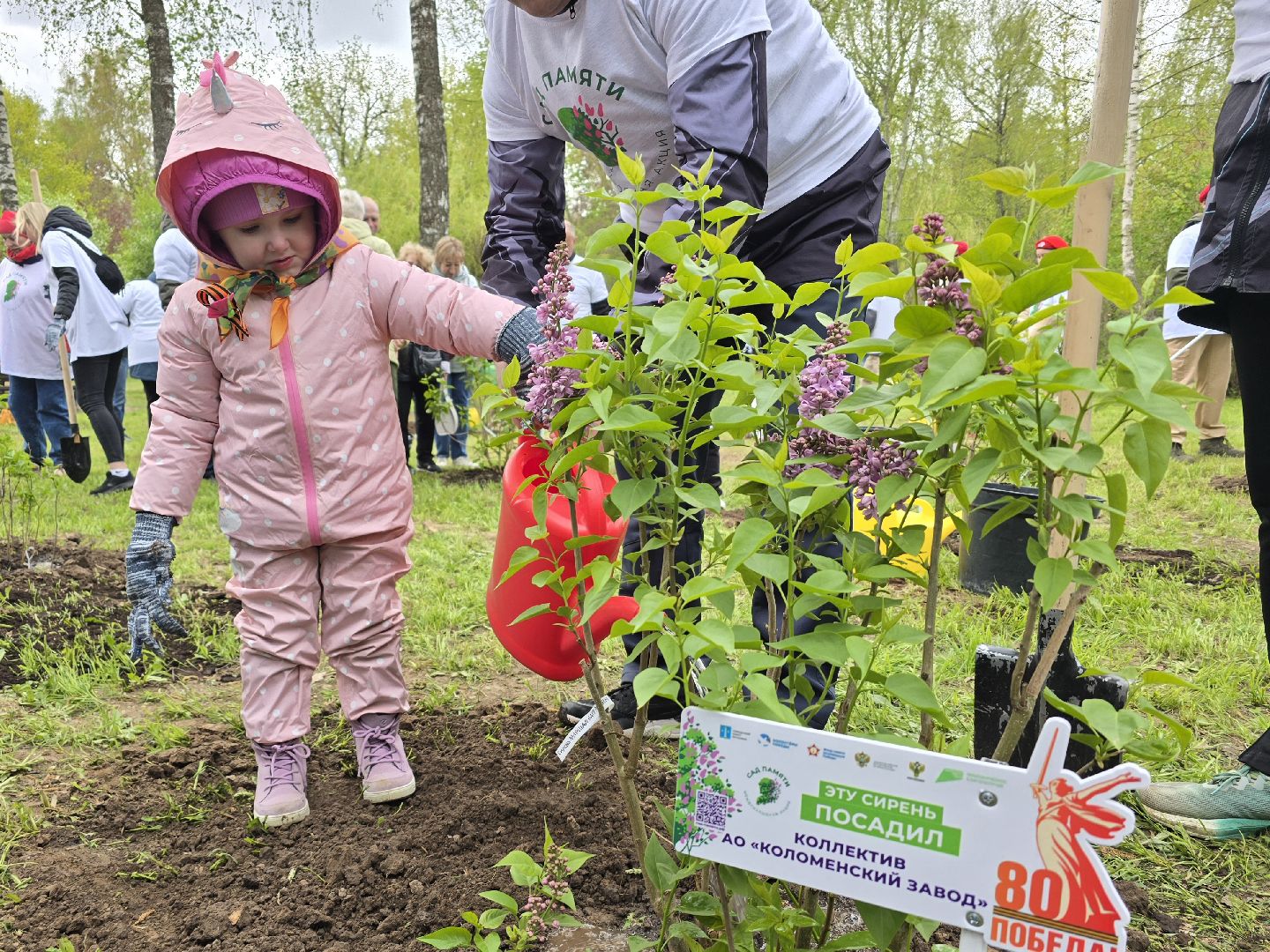 Коломна, парк мира в коломне, сад памяти, аллея славы,