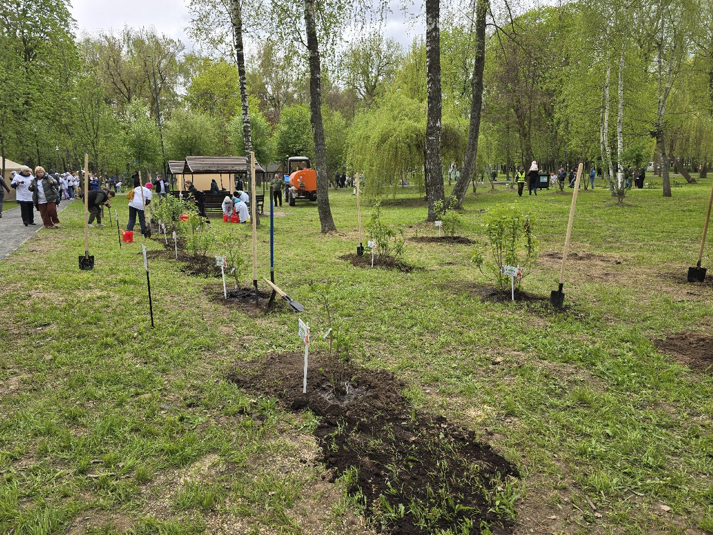 Коломна, парк мира в коломне, сад памяти, аллея славы,