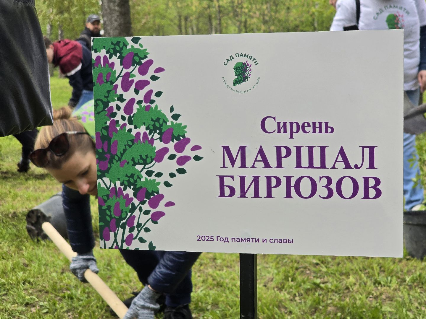 Коломна, парк мира в коломне, сад памяти, аллея славы,