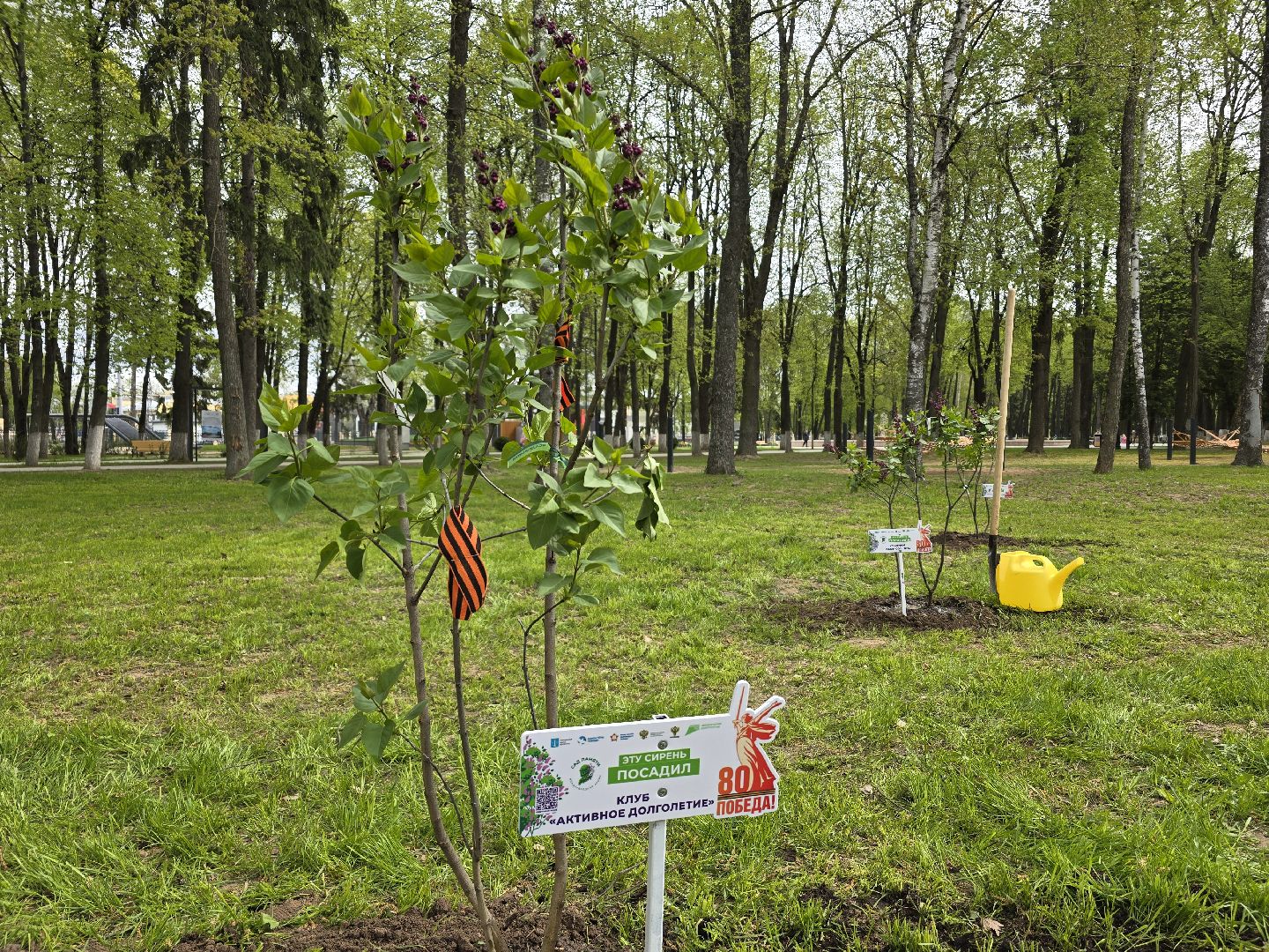 Коломна, парк мира в коломне, сад памяти, аллея славы,