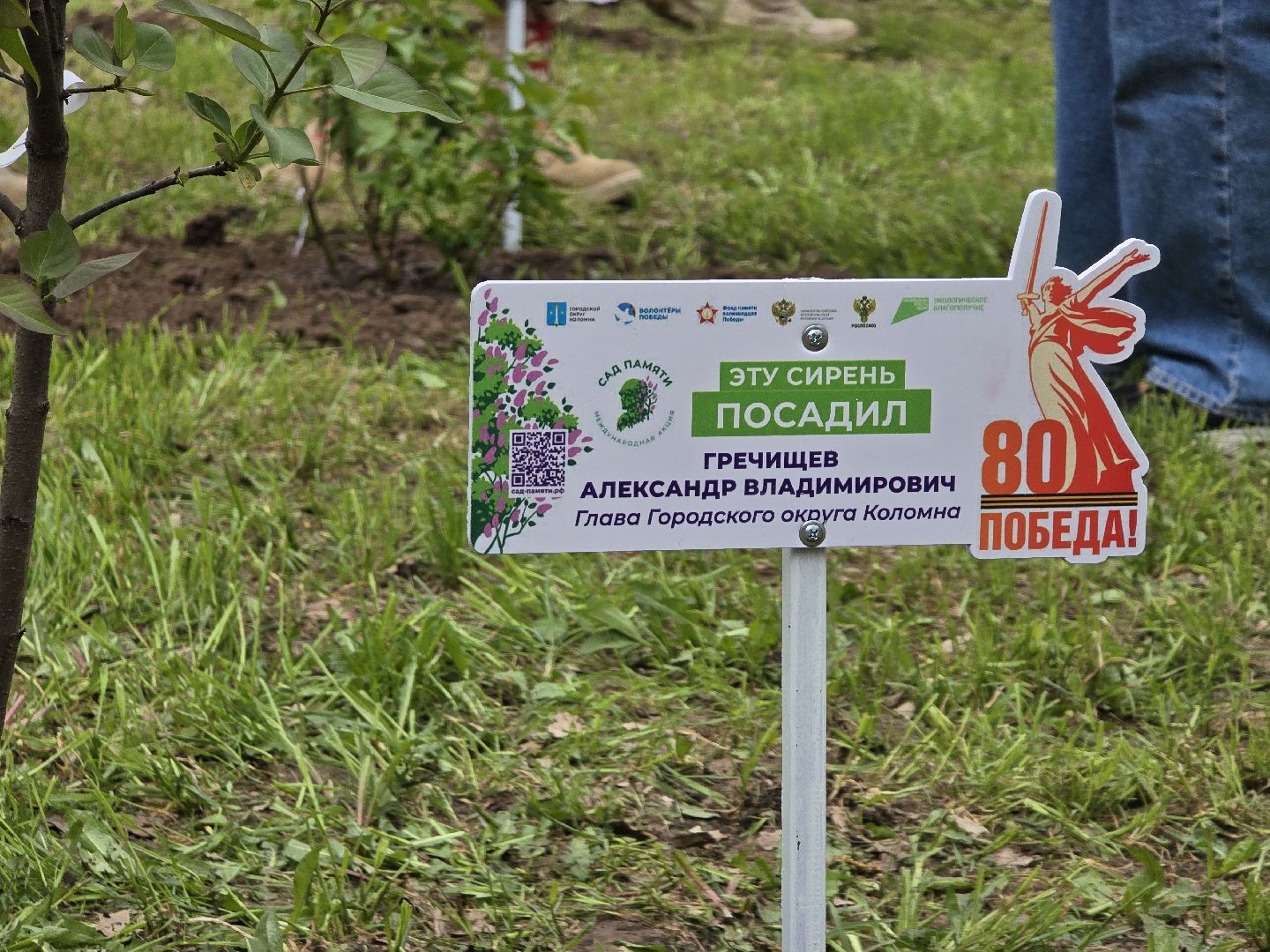 Коломна, парк мира в коломне, сад памяти, аллея славы,