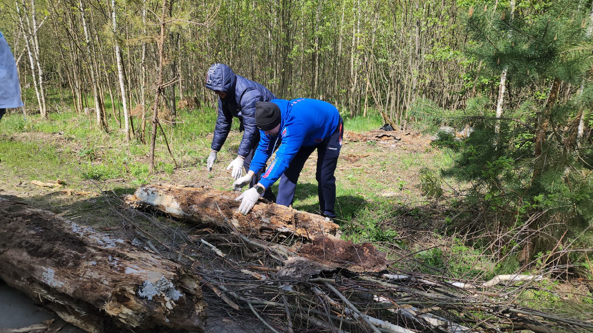субботник, всероссийский субботник, Лосино-Петровский,