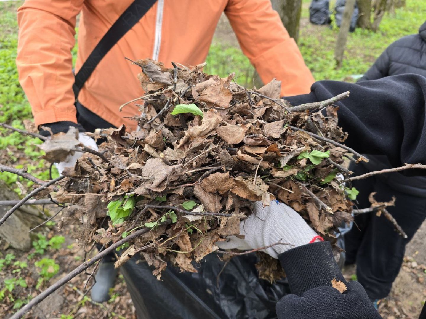 можайск, можайский муниципальный округ, подмосковье, субботник, общеобластной субботник, парк ривьера, городской парк,