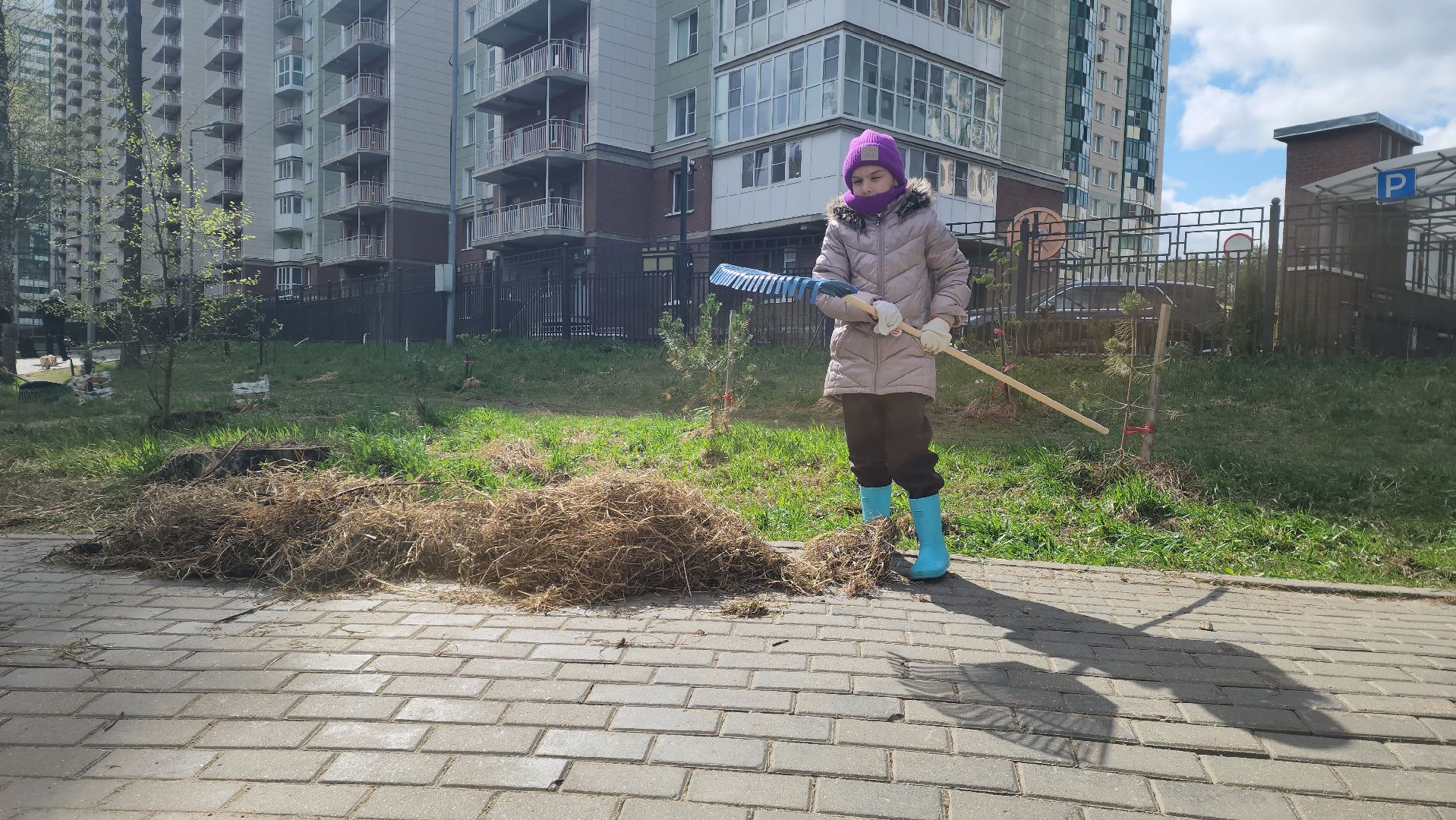 красногорск, субботник,