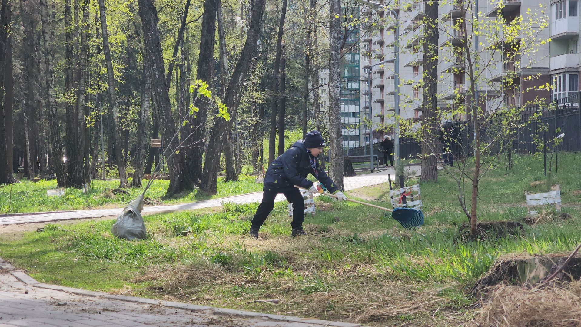 красногорск, субботник,