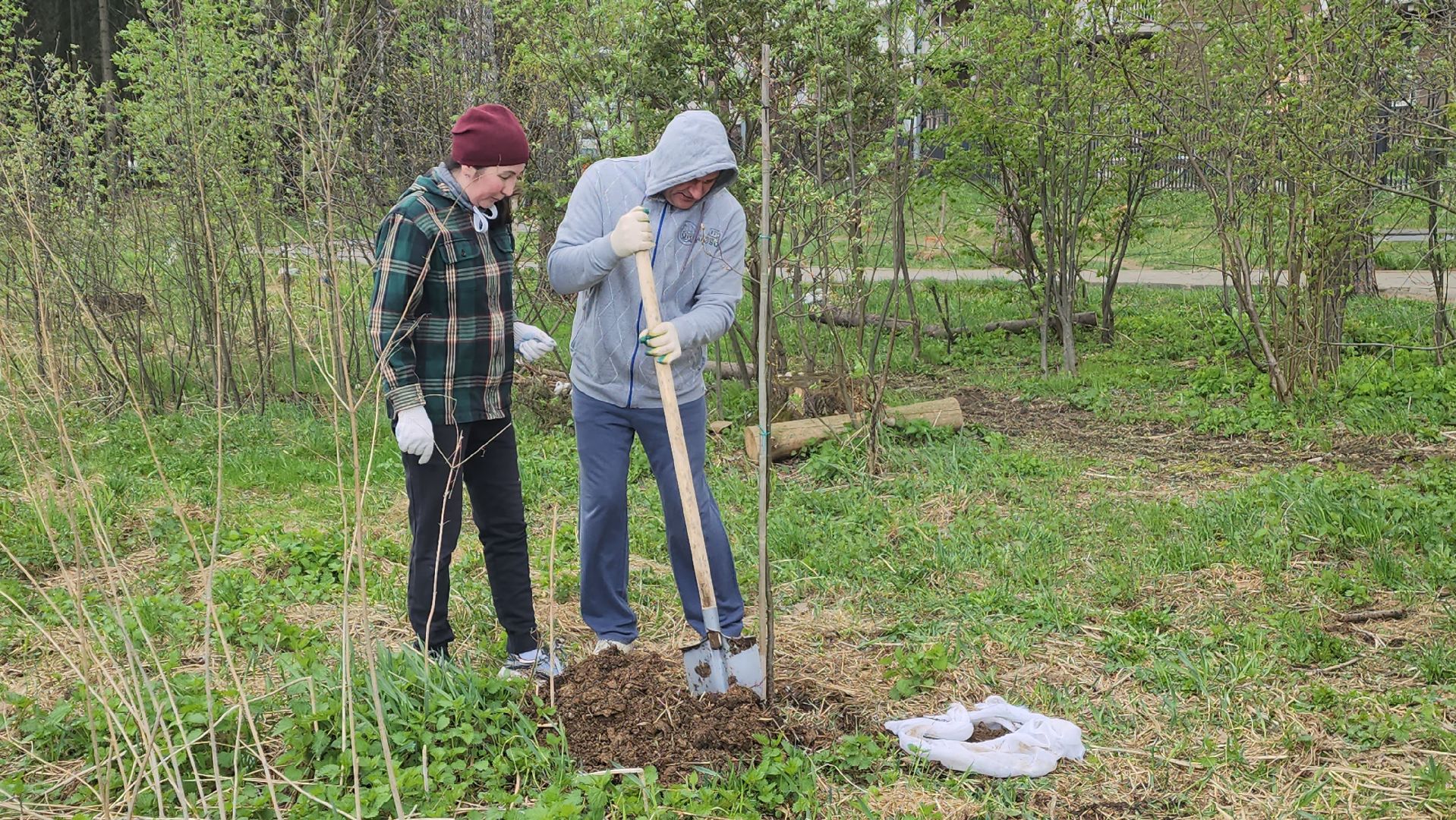 красногорск, субботник,