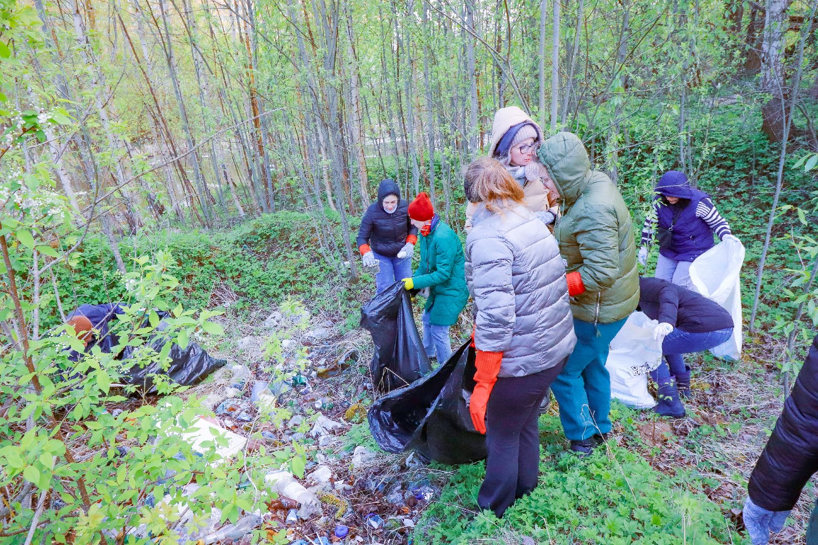 клин, общество, субботник, экология,