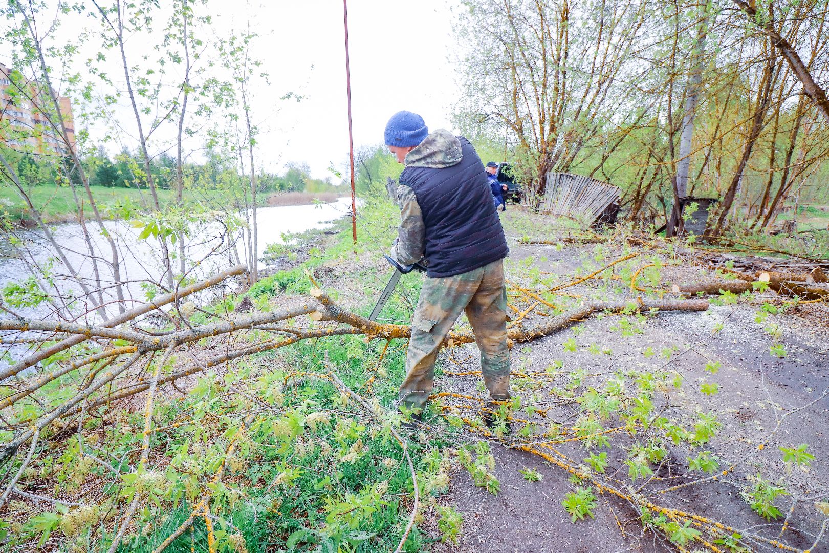 клин, общество, субботник, экология,